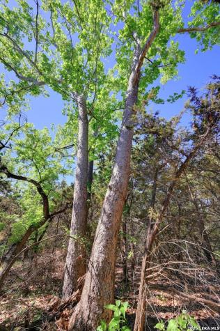 324 E Headwaters Ranch Road Kendalia TX 78027