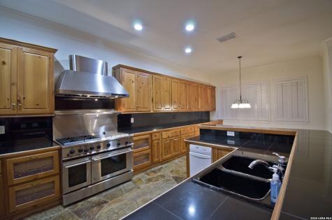 17323 Fountain Bluff Drive San Antonio TX 78248