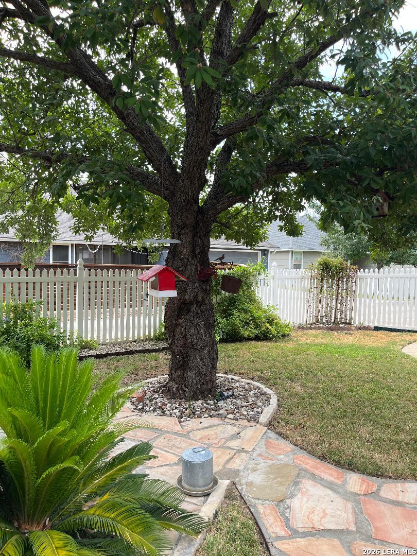 528 Jo Lynn New Braunfels TX 78130