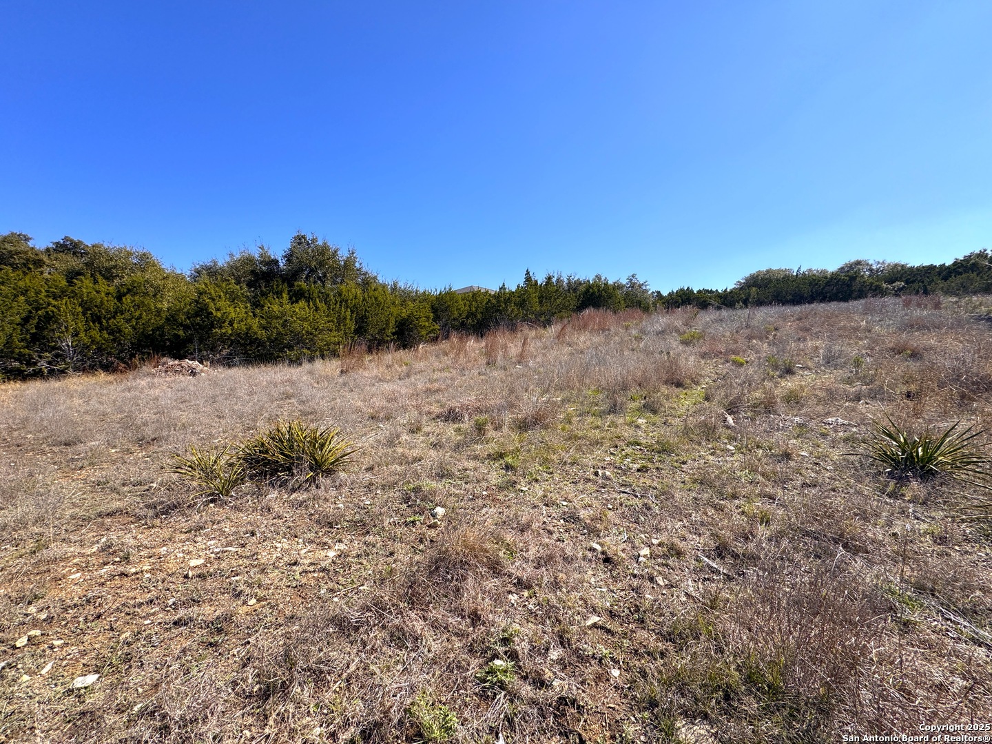 344 Scarlet Court Canyon Lake TX 78133