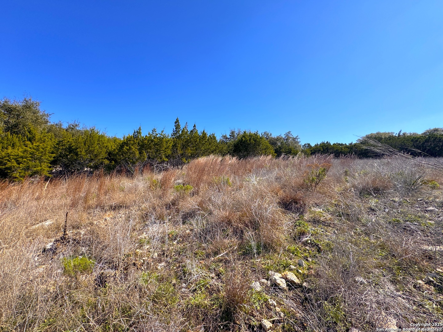 344 Scarlet Court Canyon Lake TX 78133