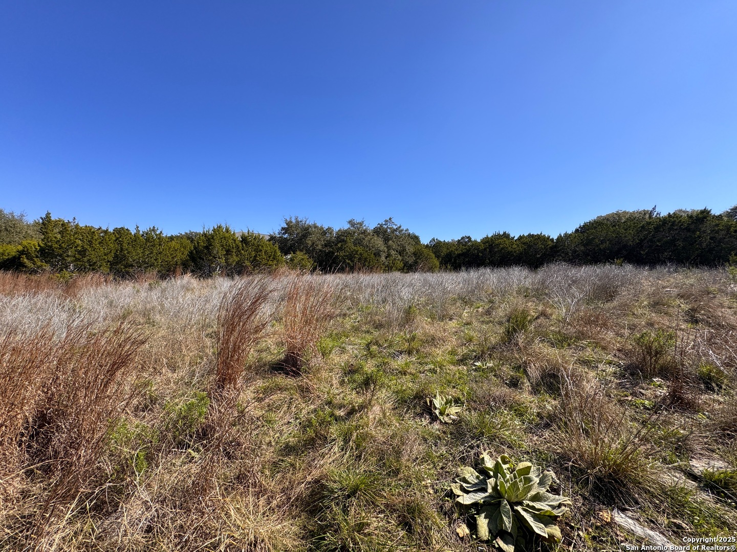344 Scarlet Court Canyon Lake TX 78133