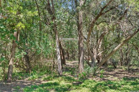 491 Lone Oak Road New Braunfels TX 78132