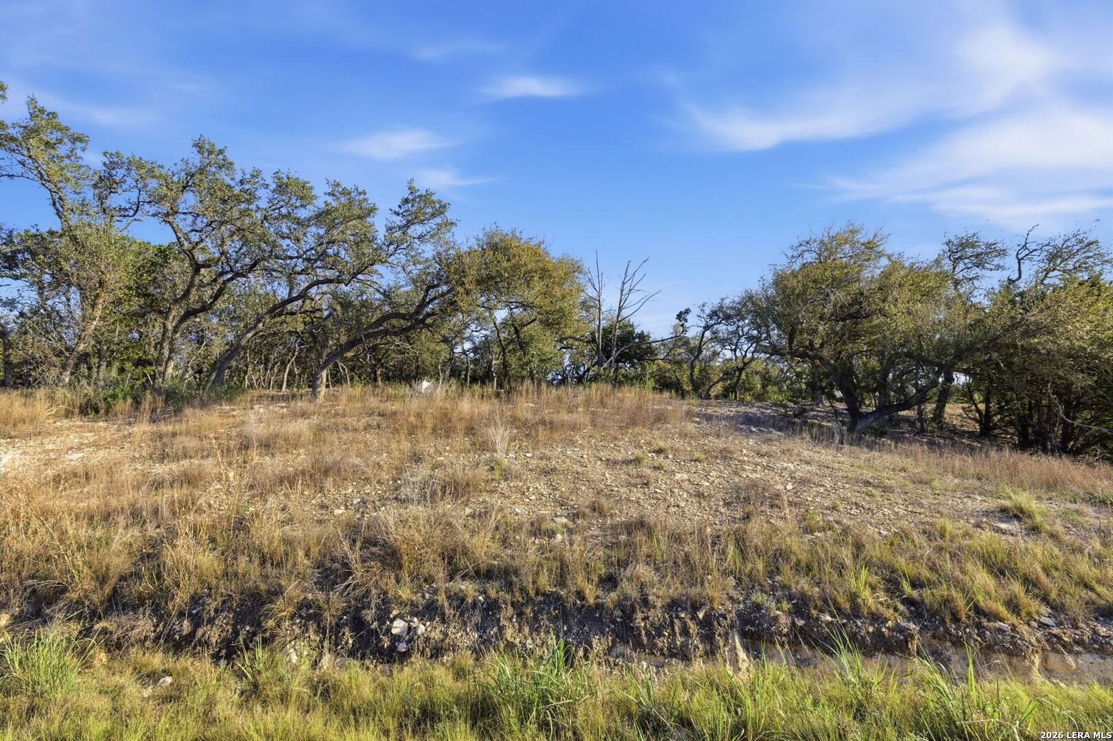 629 Rosemary Ridge Bulverde TX 78163