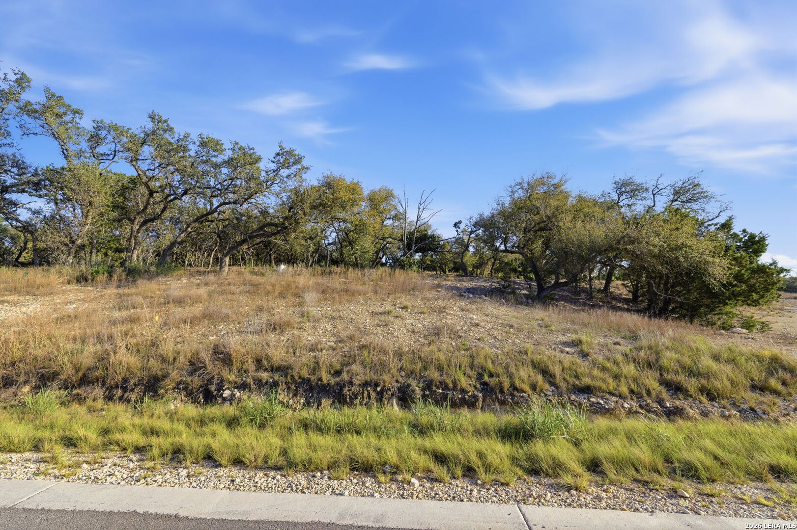 629 Rosemary Ridge Bulverde TX 78163