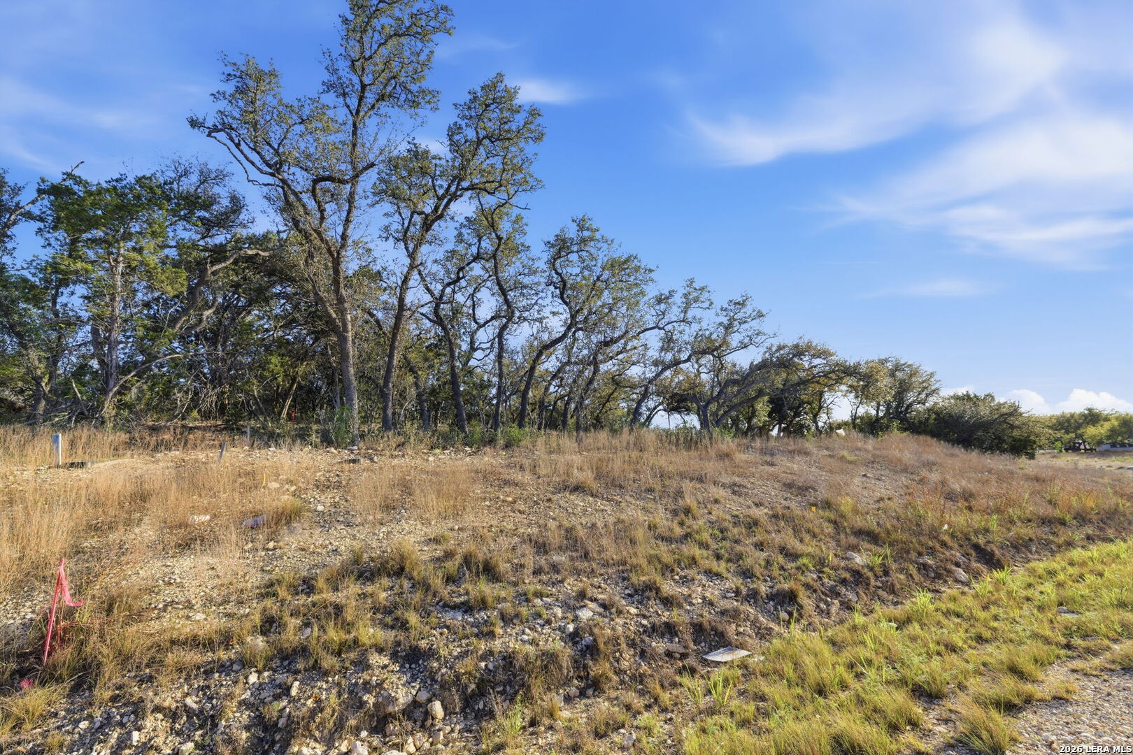 629 Rosemary Ridge Bulverde TX 78163