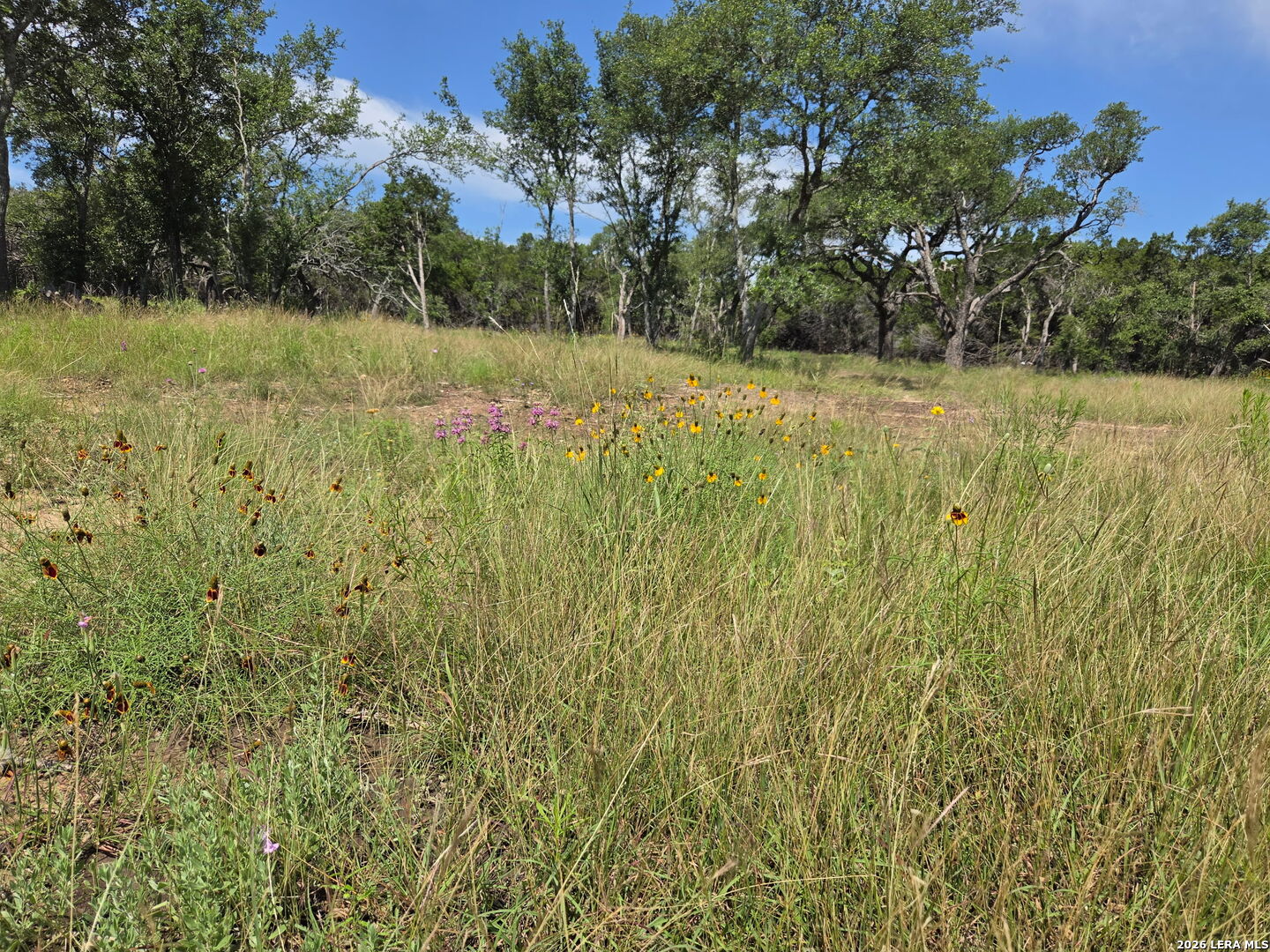 113 Jayhawk Court Burnet TX 78611