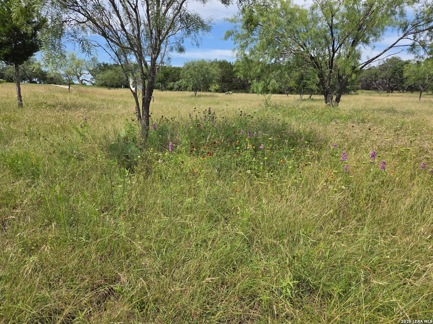 113 Jayhawk Court Burnet TX 78611
