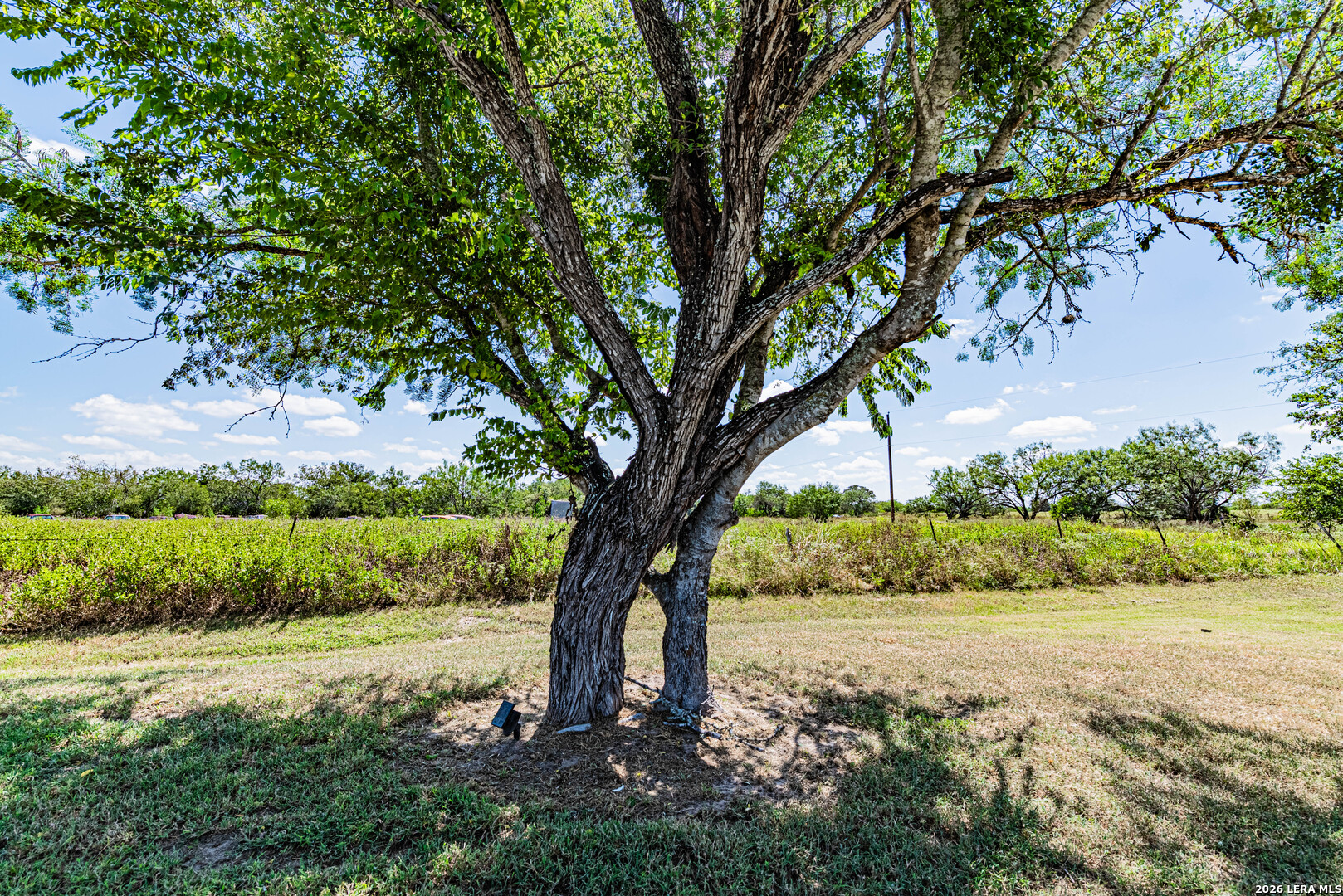 280 County Road 322 La Vernia TX 78121