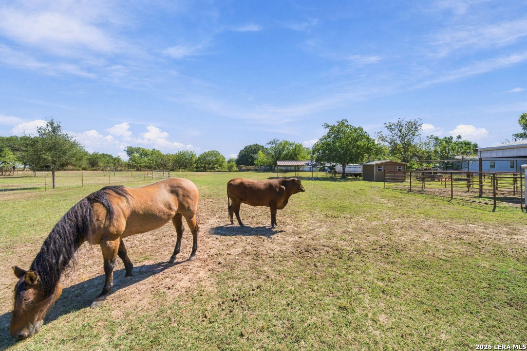 3690 Rakowitz Road Adkins TX 78101