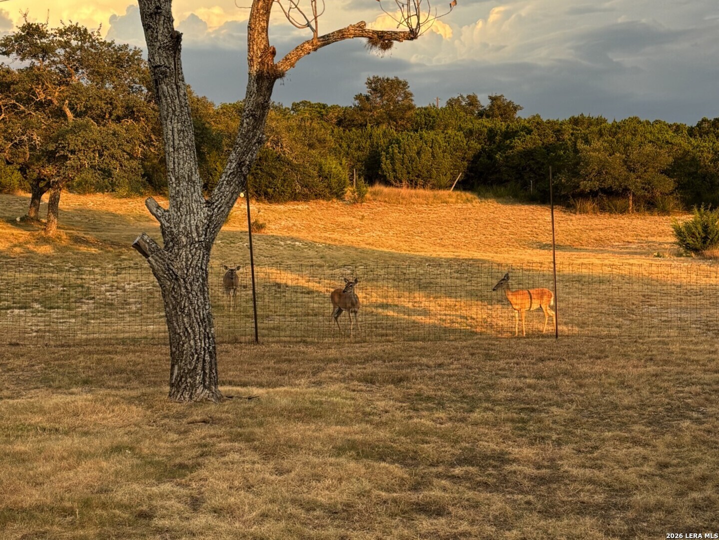186 Seven Sisters Drive Boerne TX 78006