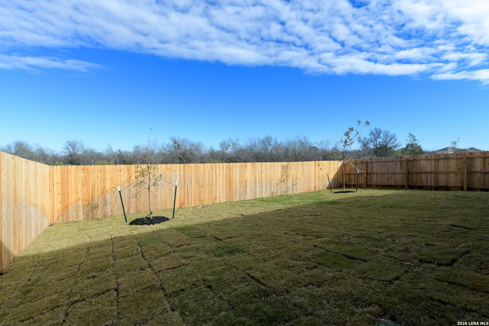 178 Desert Cactus San Antonio TX 78253