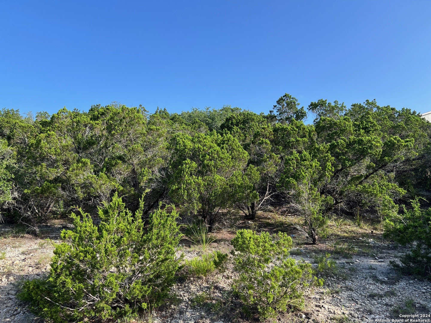280 Scenic Hills Drive Canyon Lake TX 78133