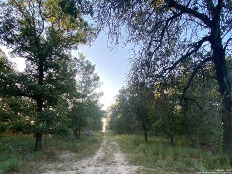 541 Enchanted Oak Drive La Vernia TX 78121