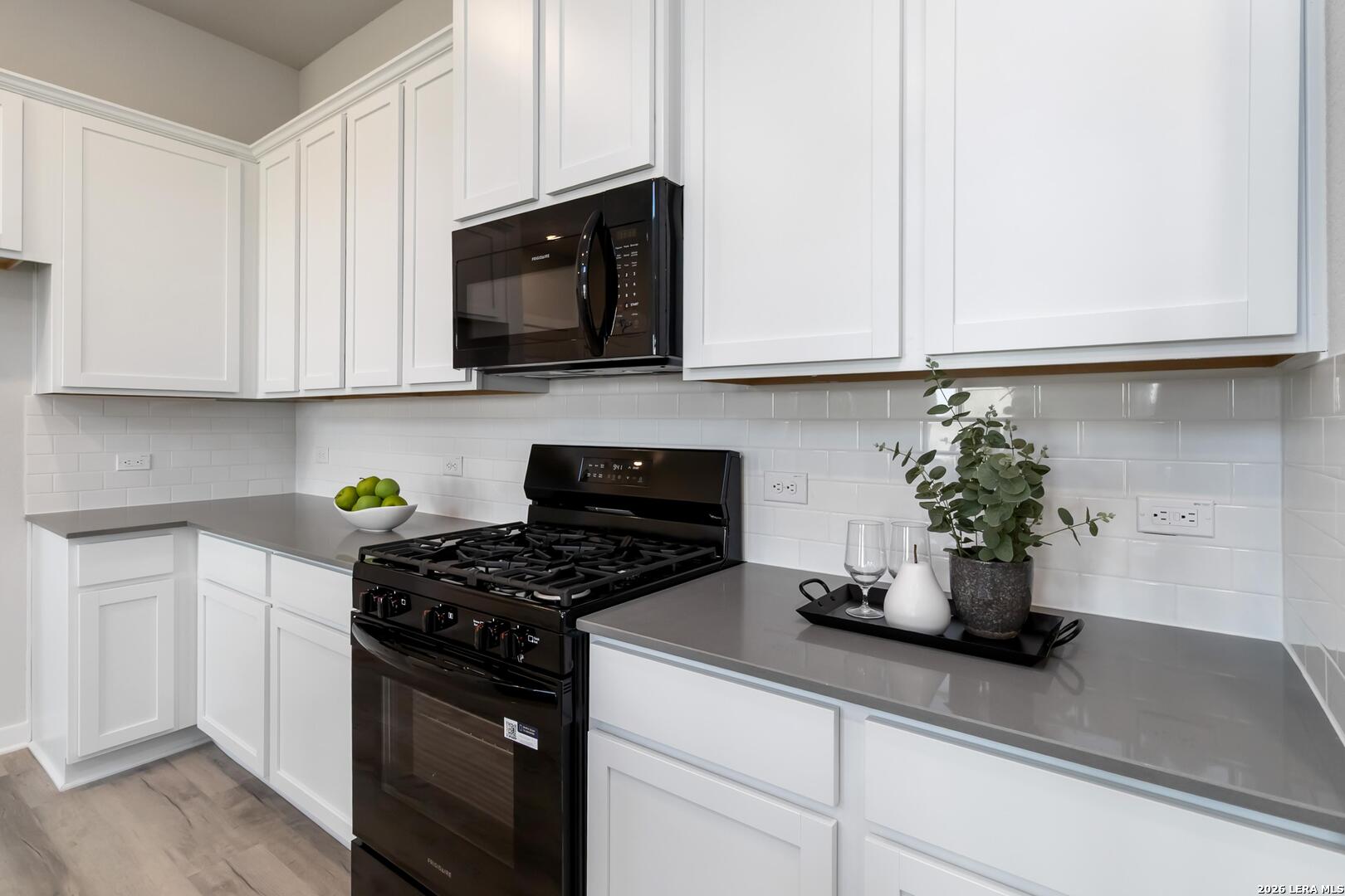 11155 Schmidt Lane Converse TX 78109