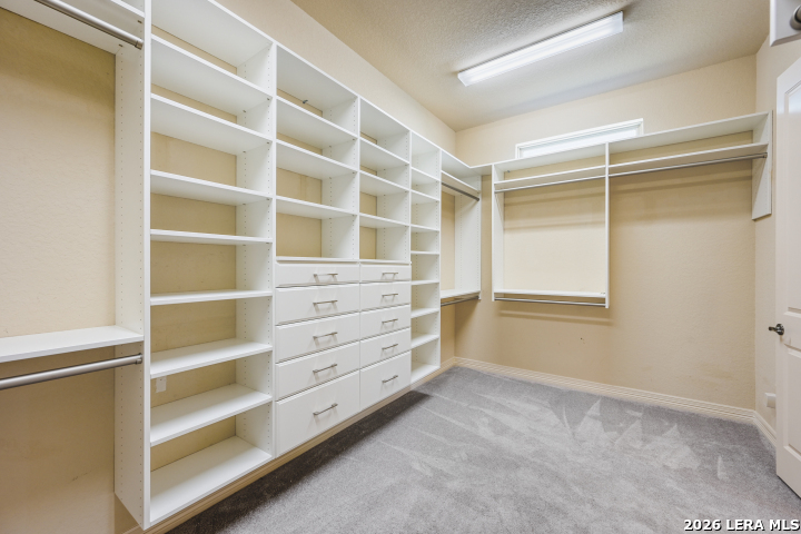 31006 Charolais Way Bulverde TX 78163