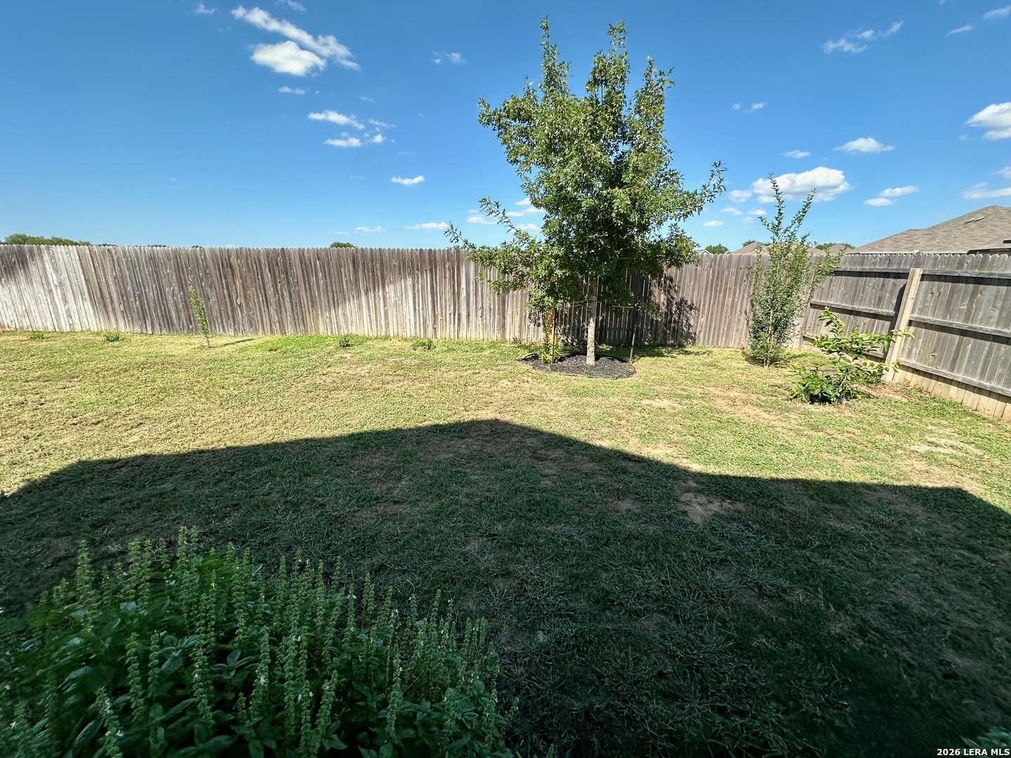 257 Pudu Trail Cibolo TX 78108