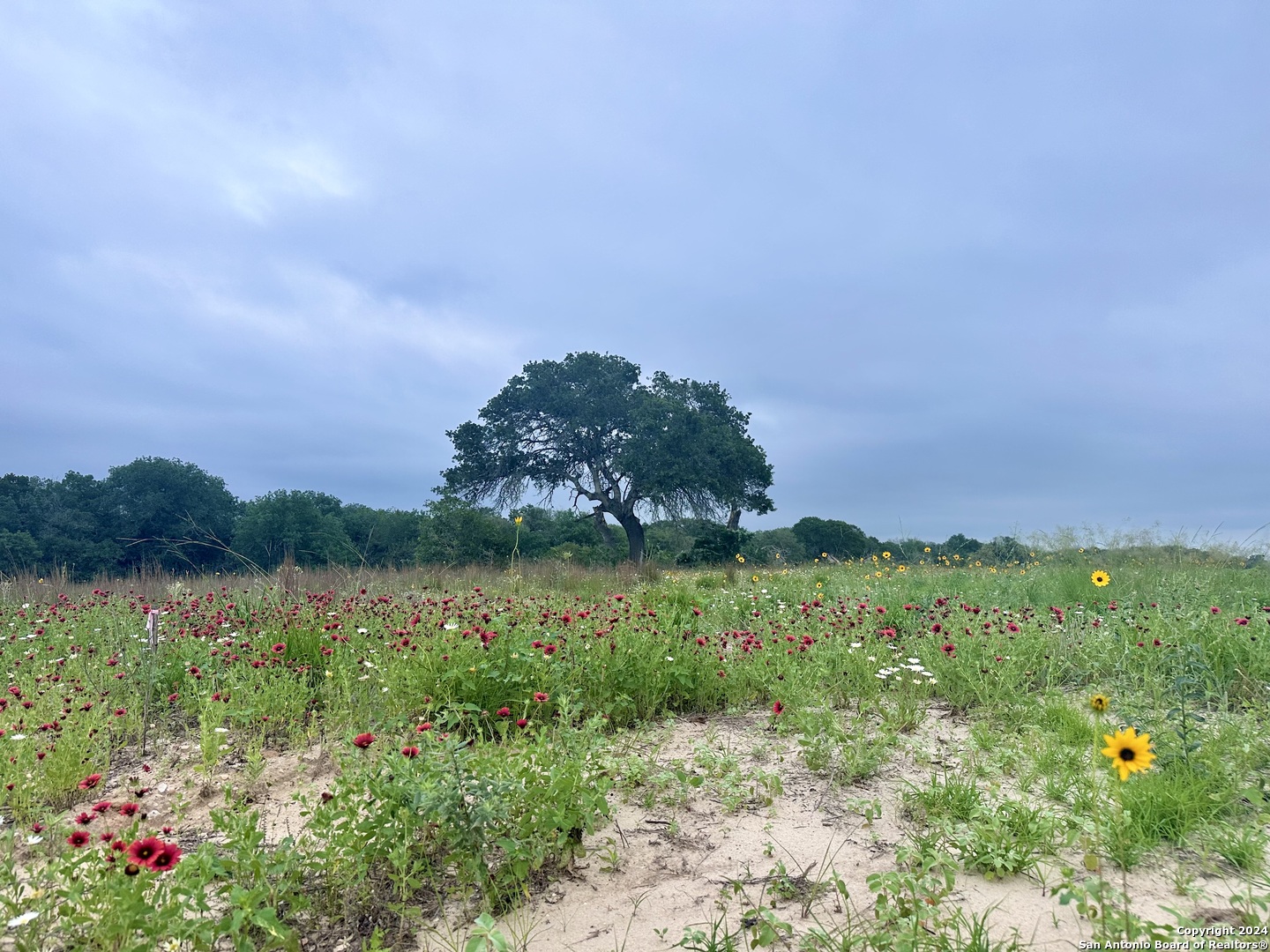 718 Sunrise Lane La Vernia TX 78121