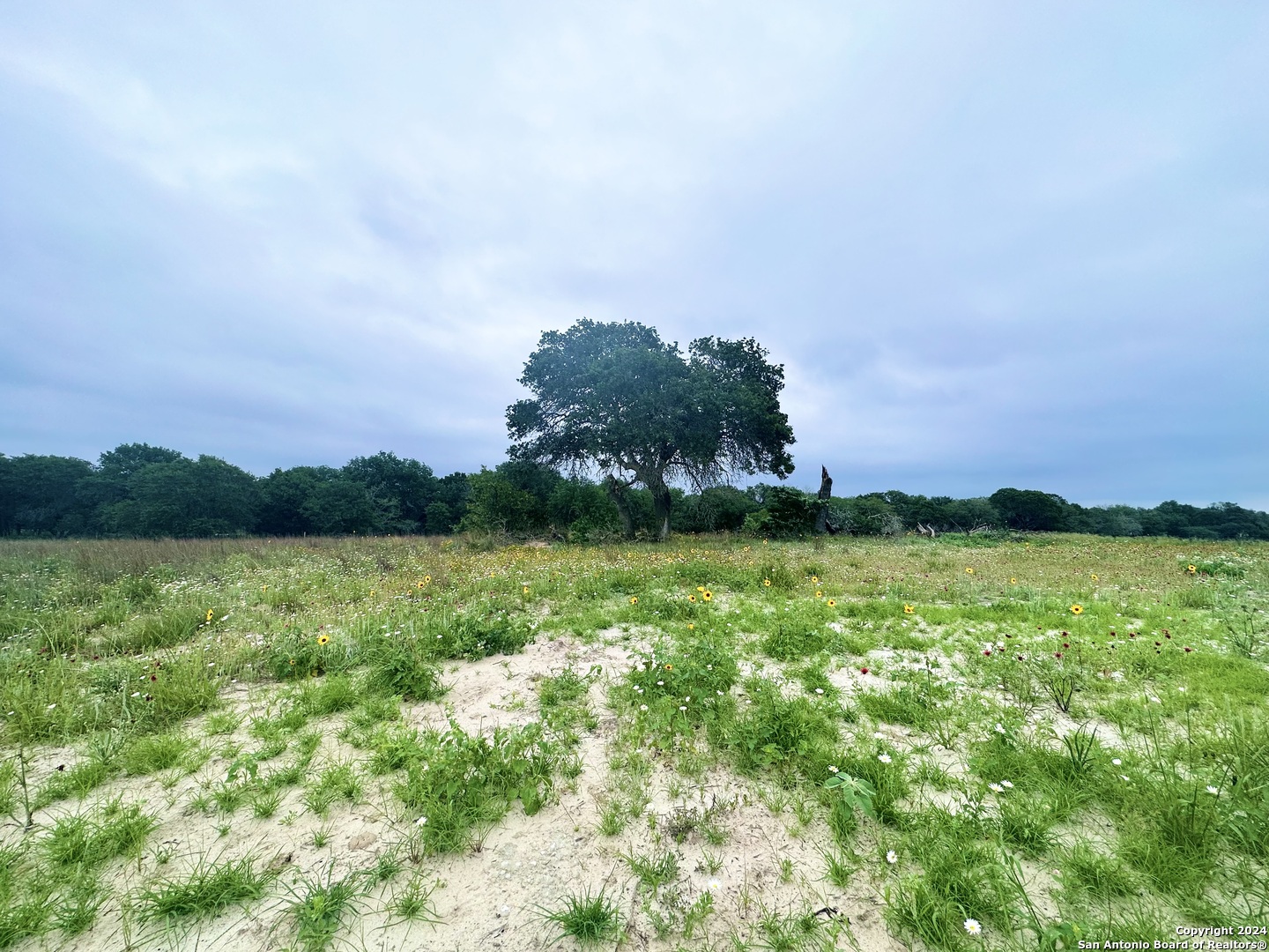 718 Sunrise Lane La Vernia TX 78121