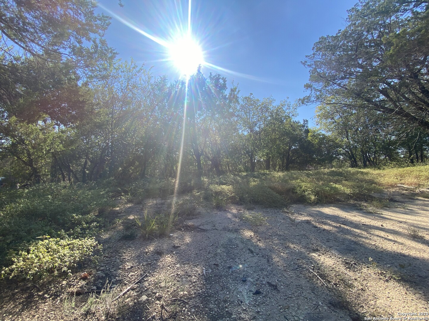 3731 Flyn Y San Antonio TX 78253