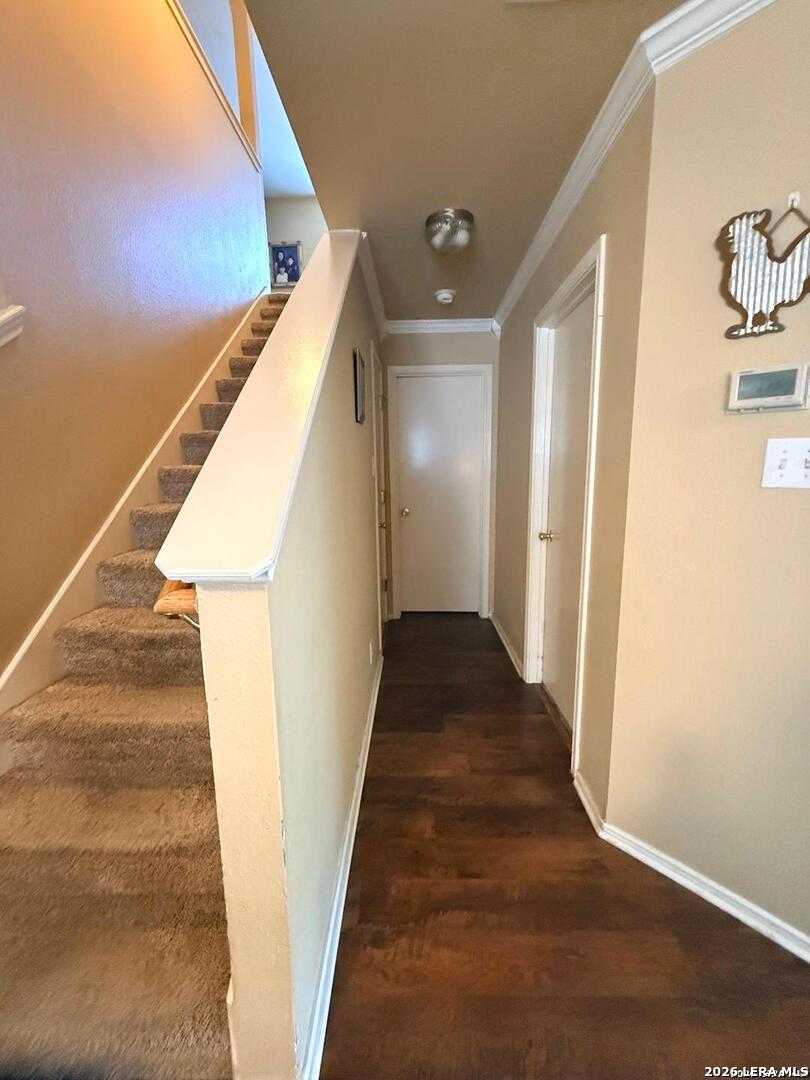 10526 Springwood Square Universal City TX 78148