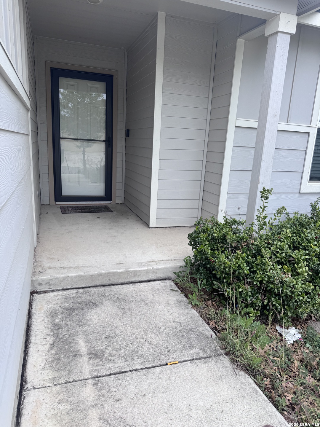 106 Moscovy Duck San Antonio TX 78253