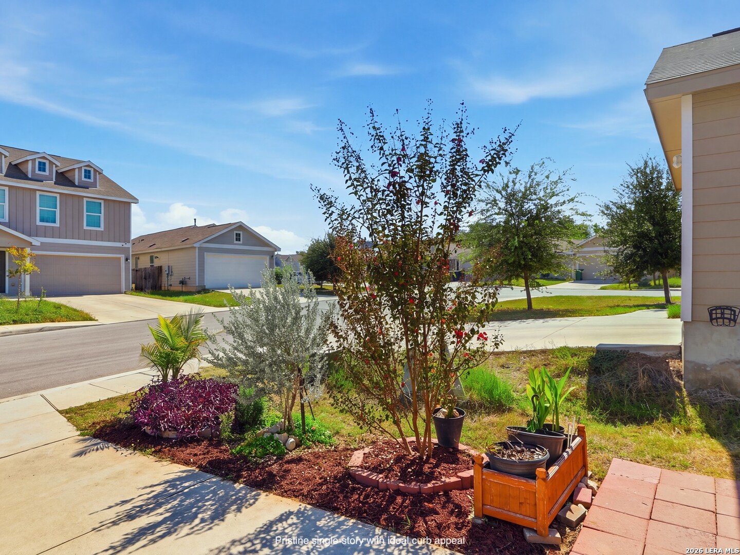 8811 Braun Mesa San Antonio TX 78254