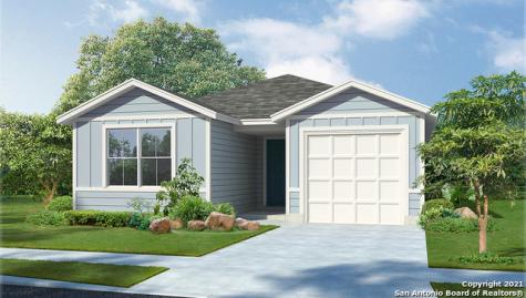 15338 Brown Violetear San Antonio TX 78253