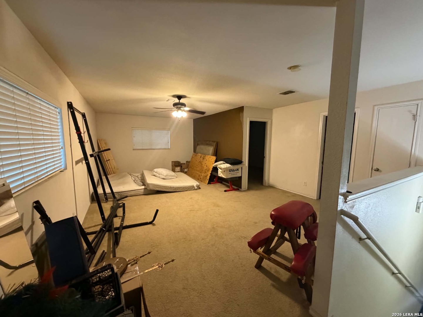 16318 Appaloosa Oak Selma TX 78154
