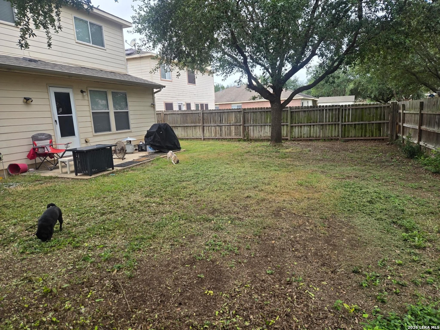 16318 Appaloosa Oak Selma TX 78154