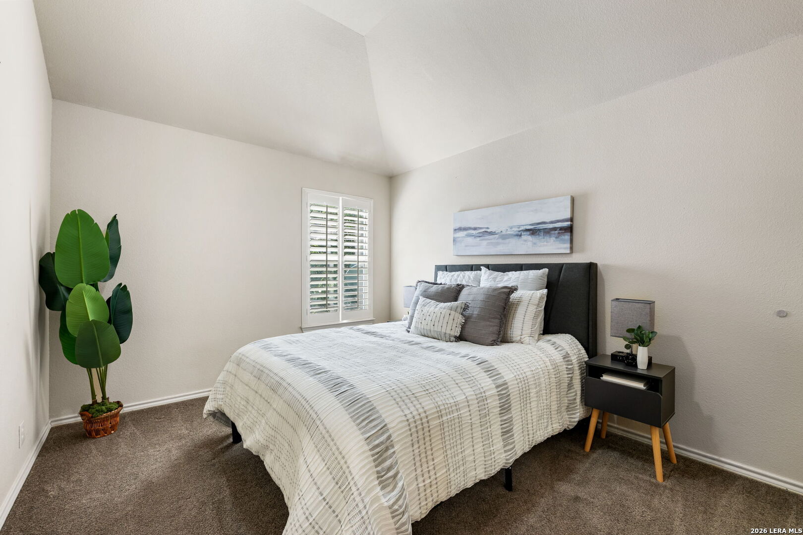 6936 Terra Rye San Antonio TX 78240