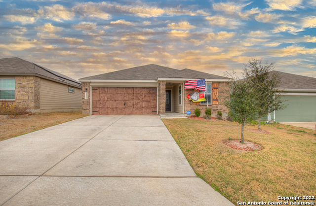 2419 Pechora Pipit New Braunfels TX 78130