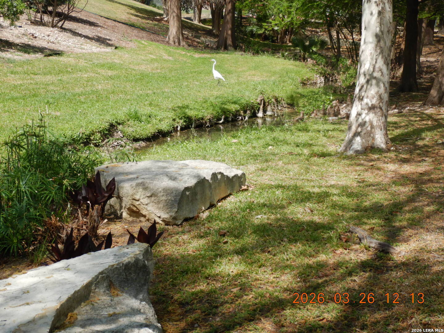 122 Downing San Antonio TX 78209