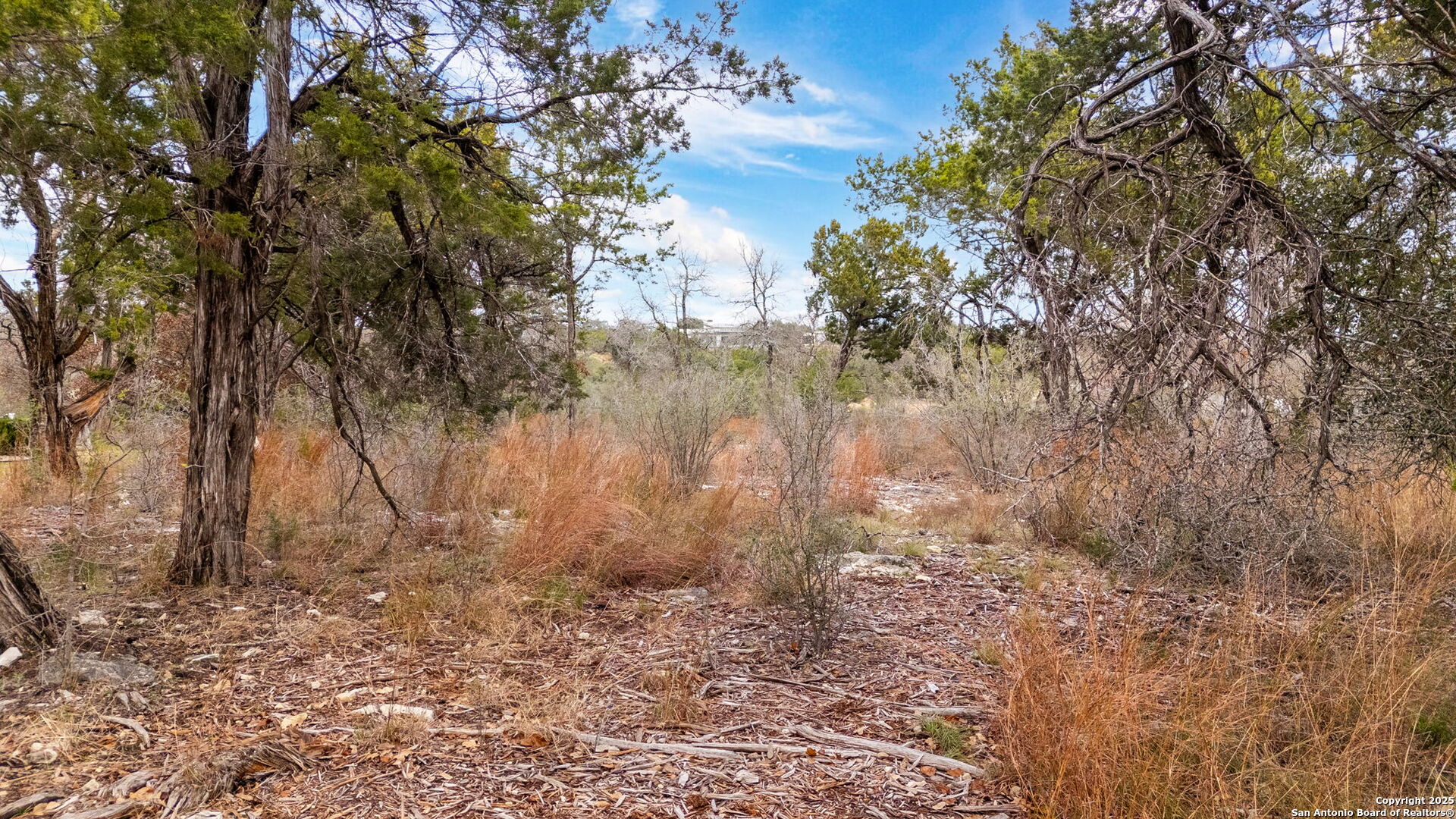 Lot 11 Landmark Ridge Boerne TX 78006