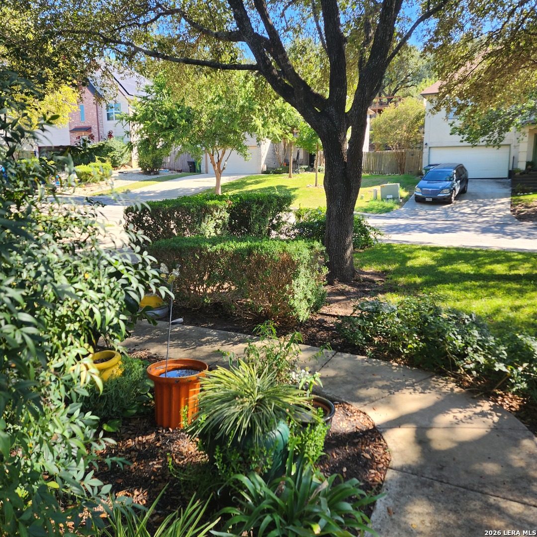 16168 Walnut Creek Drive San Antonio TX 78247