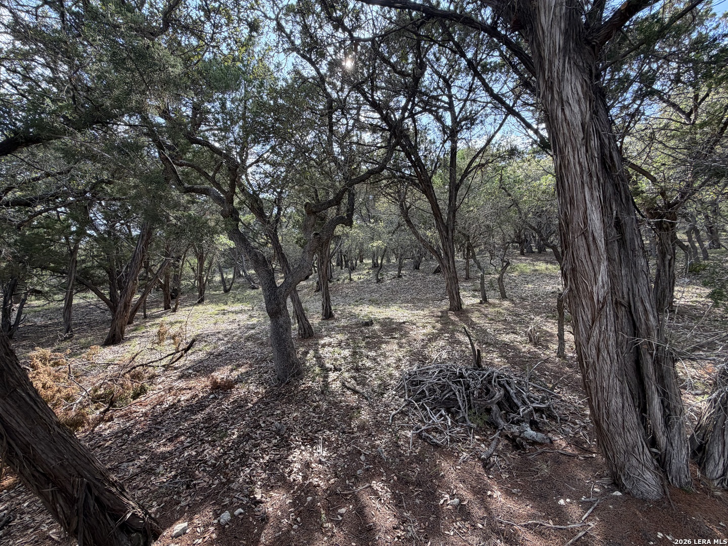 107 Starview Court Boerne TX 78006