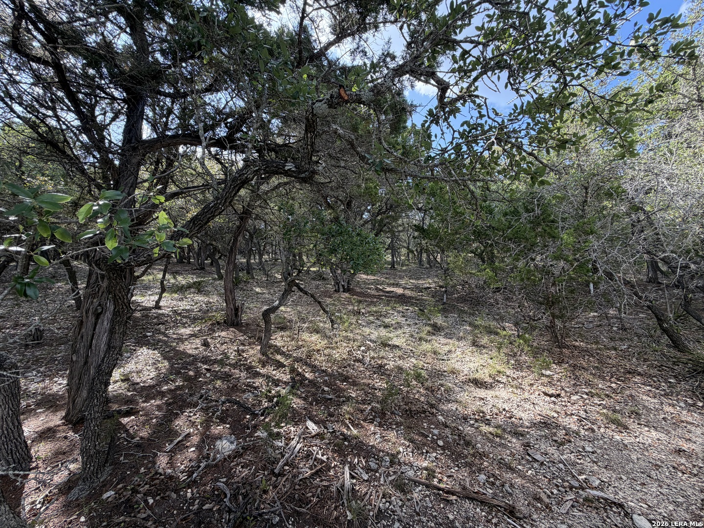 107 Starview Court Boerne TX 78006