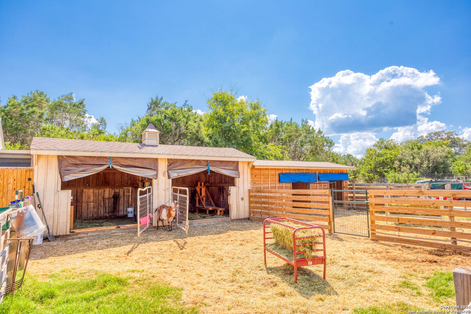 24935 Pecan Creek San Antonio TX 78255