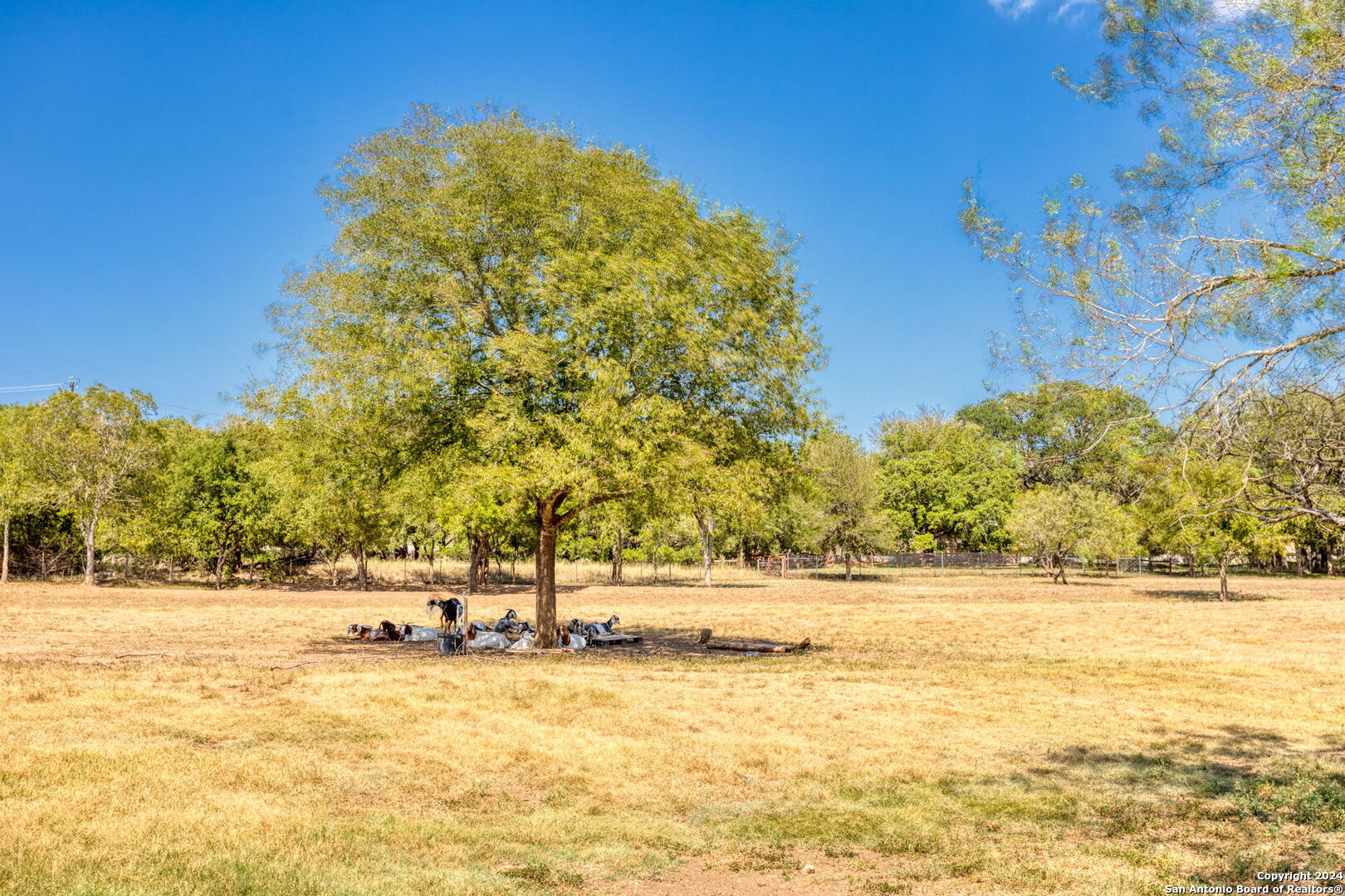 24935 Pecan Creek San Antonio TX 78255