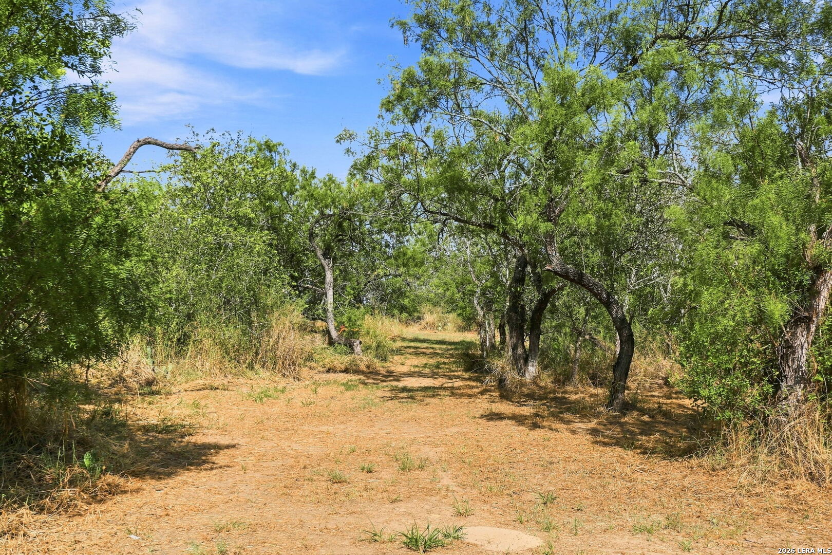 275 Fay Drive Lytle TX 78052