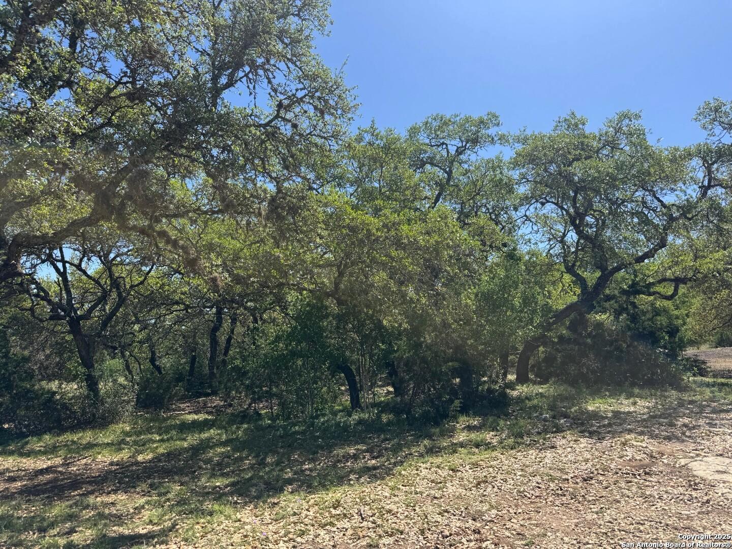 2485 Bump Gate Pipe Creek TX 78063
