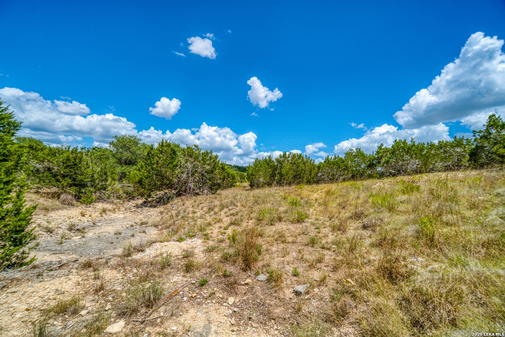 1239 Mystic Breeze Spring Branch TX 78070