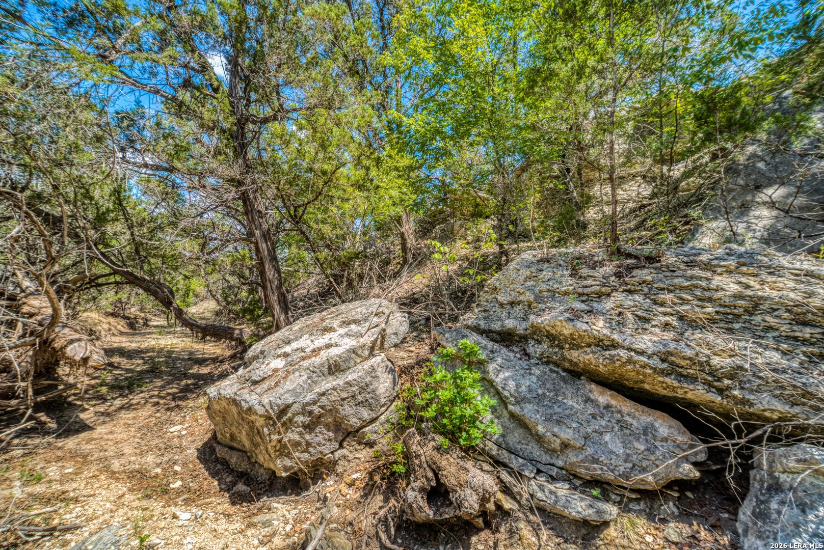 1239 Mystic Breeze Spring Branch TX 78070