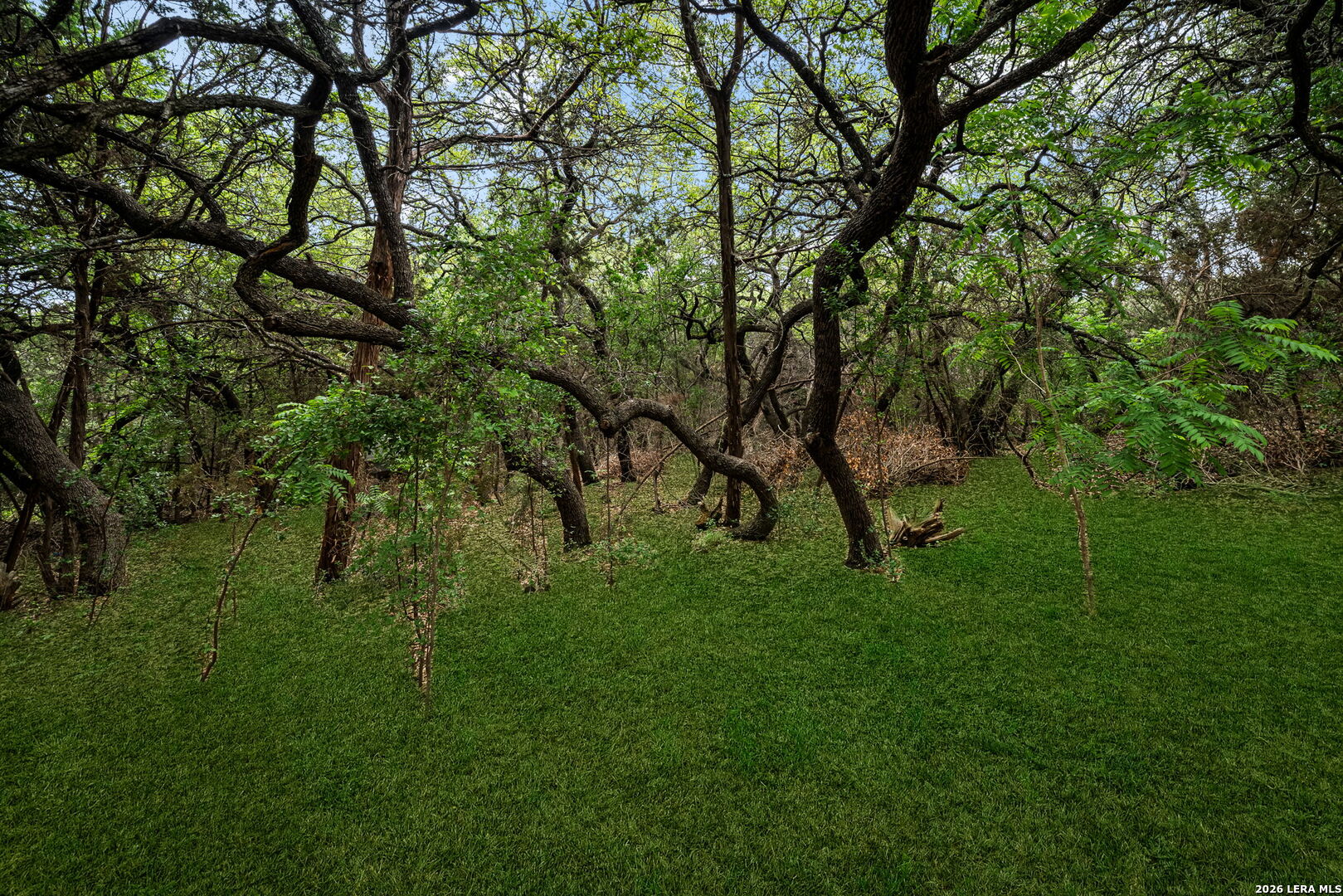 27518 Dana Creek Drive Boerne TX 78015