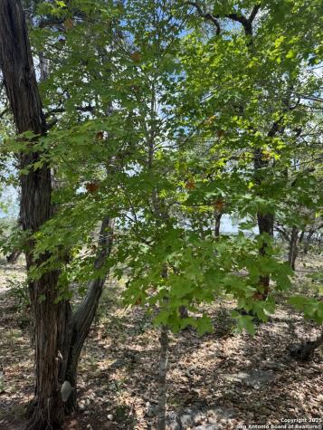 201 Cypress Bluff Road Pipe Creek TX 78063