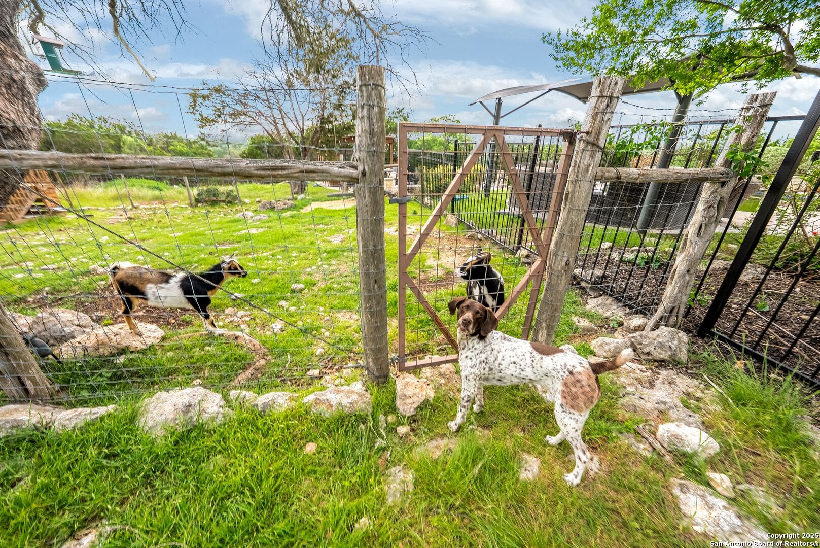 102 Spring Ridge Boerne TX 78006