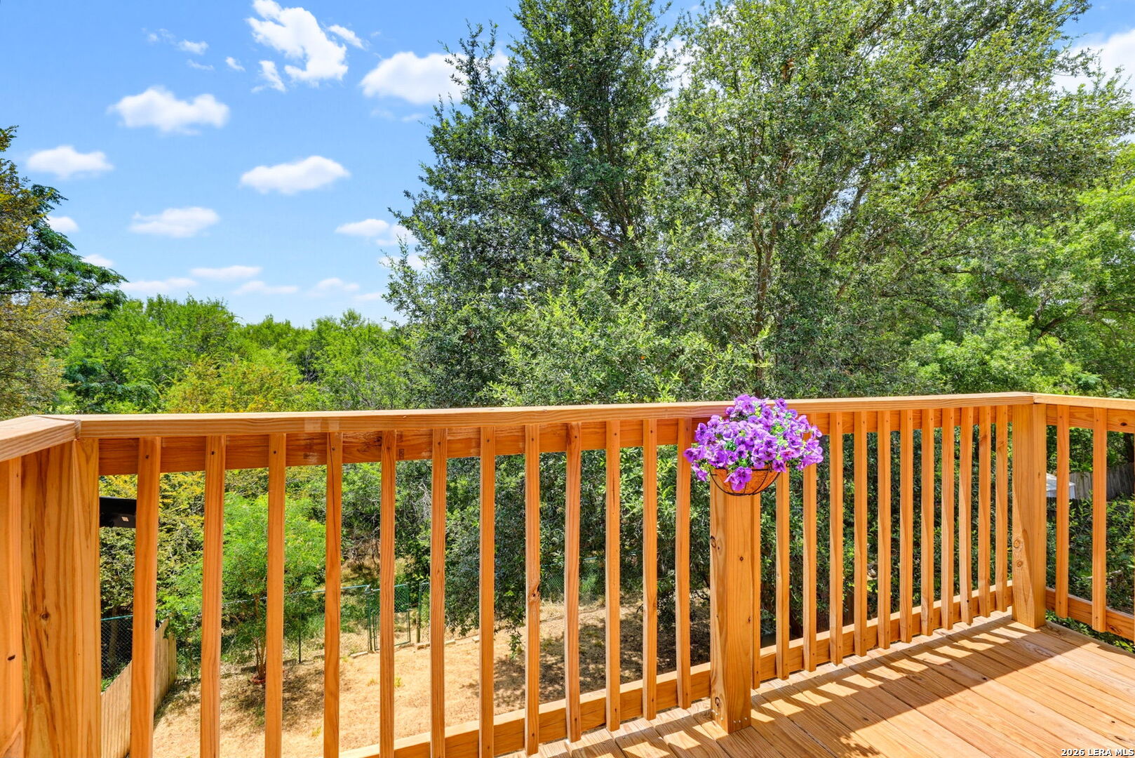38 Morgans Bluff San Antonio TX 78216