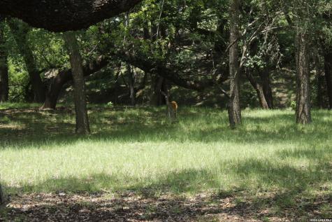 28 N River Place Road Rio Frio TX 78879