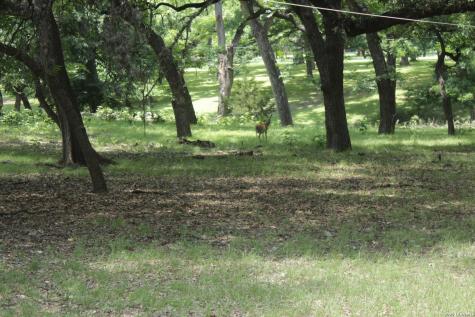 28 N River Place Road Rio Frio TX 78879