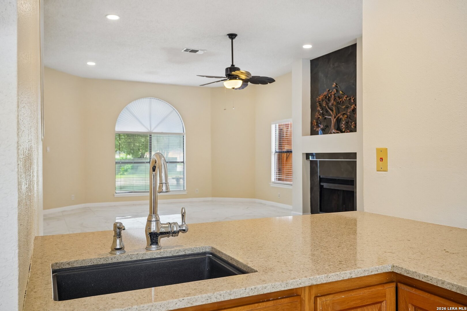 16922 Vista Briar Drive San Antonio TX 78247